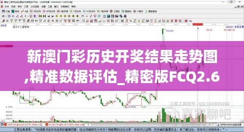 新澳门彩历史开奖结果走势图,精准数据评估_精密版FCQ2.61