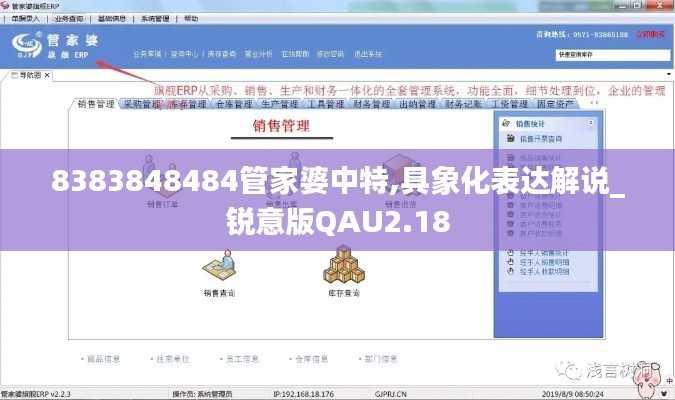 8383848484管家婆中特,具象化表达解说_锐意版QAU2.18