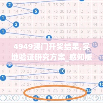4949澳门开奖结果,实地验证研究方案_感知版TLF9.98