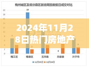 2024年11月28日热门房地产交易，科技革新引领未来交易新纪元