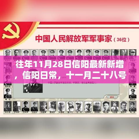 十一月二十八日信阳温馨新增日常
