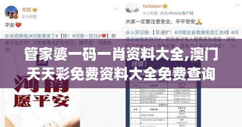 管家婆一码一肖资料大全,澳门天天彩免费资料大全免费查询,澳门资料大全免费,,深究数据应用策略_影像处理版XWR8.74