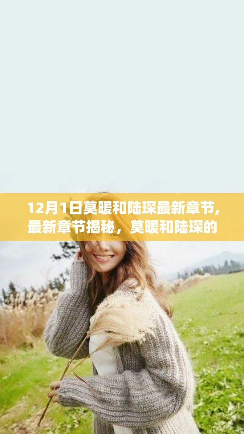 莫暖和陆琛十二月故事揭秘，最新章节抢先看