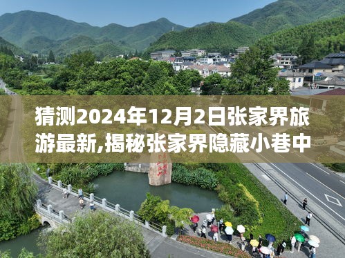 揭秘张家界隐藏小巷的独特小店，预见未来旅游新风尚（张家界旅游最新动态）