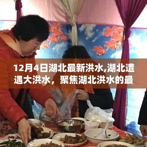 湖北洪水最新动态，聚焦湖北洪水灾害与应对措施（12月4日更新）