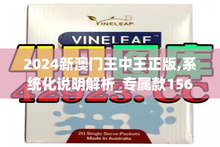 2024新澳门王中王正版,系统化说明解析_专属款156.818-4