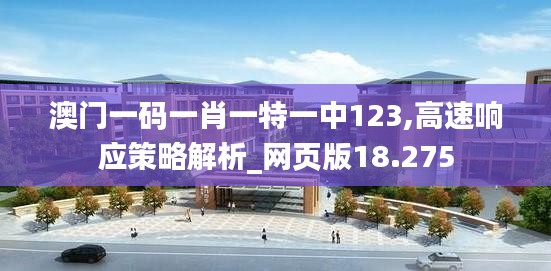 澳门一码一肖一特一中123,高速响应策略解析_网页版18.275