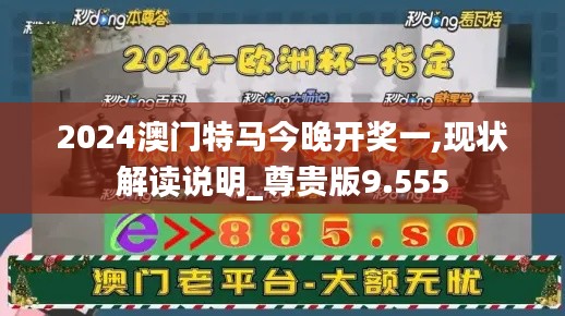 2024澳门特马今晚开奖一,现状解读说明_尊贵版9.555