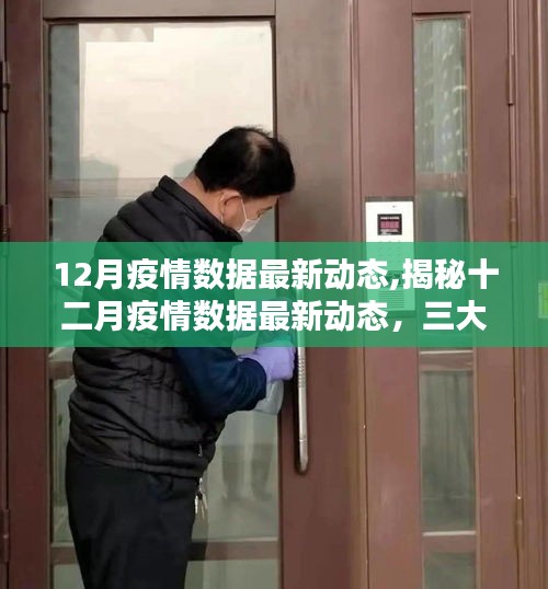 深度解析，12月疫情数据最新动态三大要点揭秘