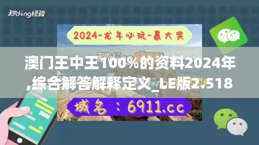 澳门王中王100%的资料2024年,综合解答解释定义_LE版2.518