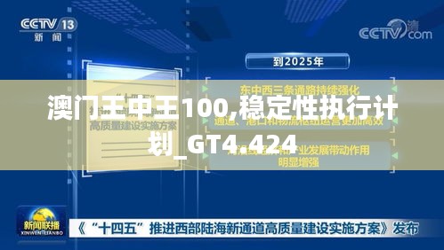 澳门王中王100,稳定性执行计划_GT4.424
