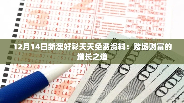 12月14日新澳好彩天天免费资料：赌场财富的增长之道