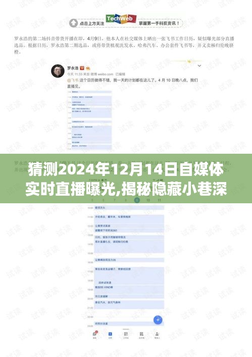 探秘之旅，自媒体直播曝光隐藏小巷的独特风味 —— 2024年12月14日直播日纪实