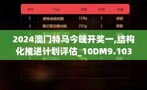 2024澳门特马今晚开奖一,结构化推进计划评估_10DM9.103