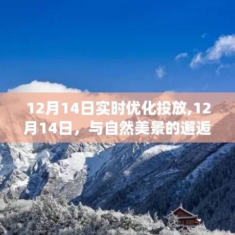 启程寻找内心平静之旅，与自然美景的邂逅与实时优化投放的12月14日体验