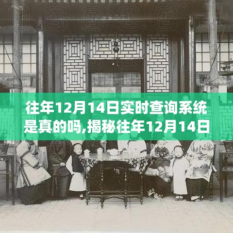 揭秘往年12月14日实时查询系统，真相与深度剖析影响