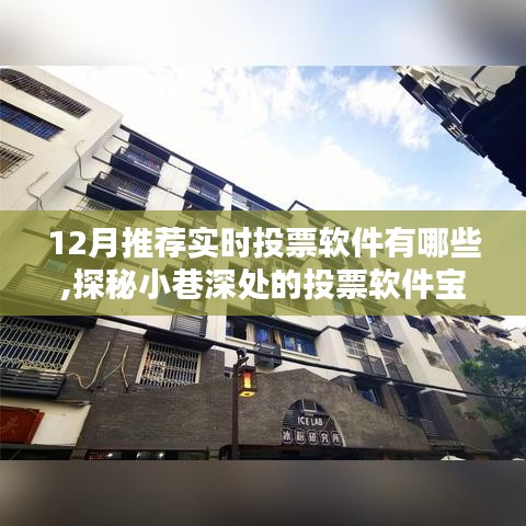 探秘十二月实时投票软件宝藏，精选工具大解密