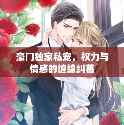 豪门独家私宠，权力与情感的缠绵纠葛