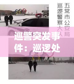 巡警突发事件：巡逻处突 