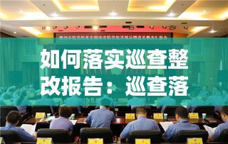 如何落实巡查整改报告：巡查落实整改情况 