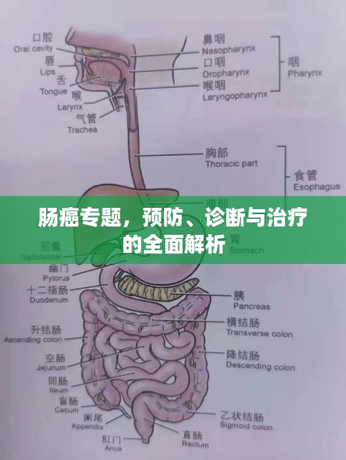 飞瀑流泉 第2页