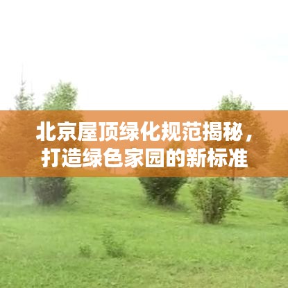 北京屋顶绿化规范揭秘，打造绿色家园的新标准