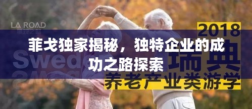 菲戈独家揭秘，独特企业的成功之路探索