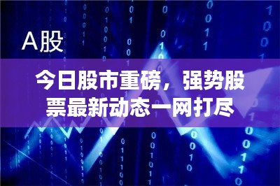 资料下载 第8页