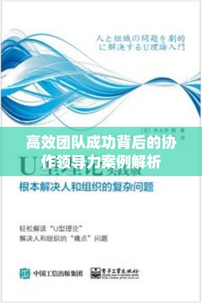 高效团队成功背后的协作领导力案例解析