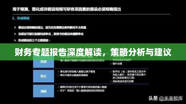 财务专题报告深度解读，策略分析与建议