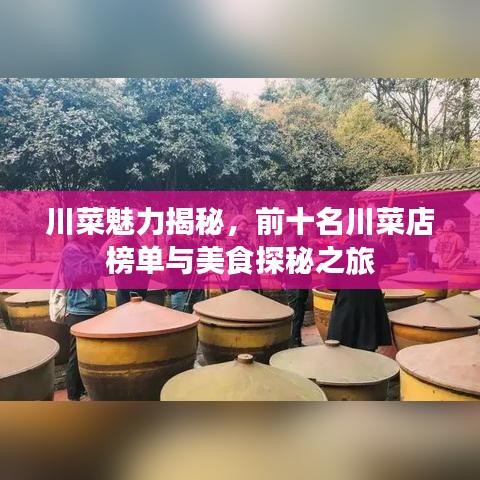 川菜魅力揭秘，前十名川菜店榜单与美食探秘之旅