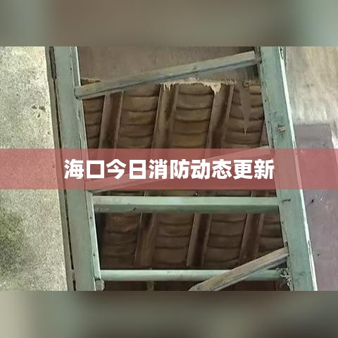 海口今日消防动态更新