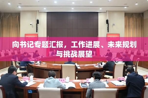 向书记专题汇报，工作进展、未来规划与挑战展望