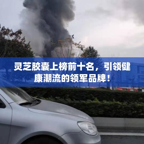 灵芝胶囊上榜前十名，引领健康潮流的领军品牌！