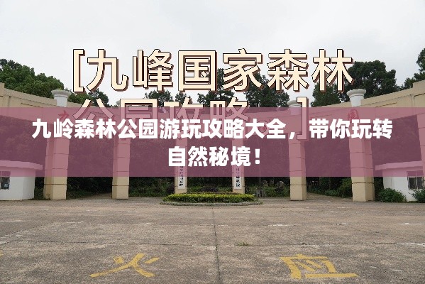 九岭森林公园游玩攻略大全，带你玩转自然秘境！