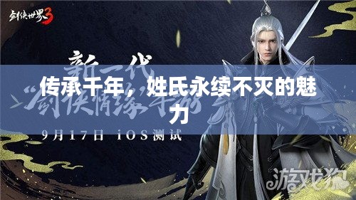 传承千年，姓氏永续不灭的魅力