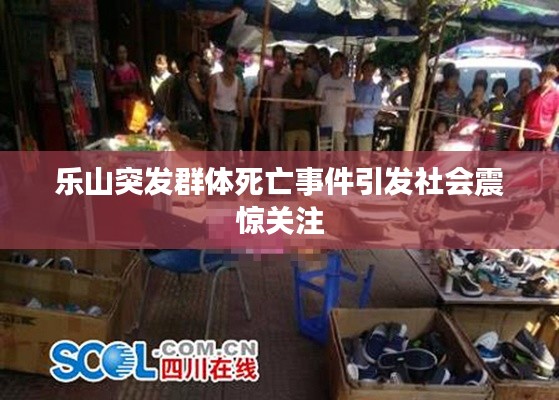 乐山突发群体死亡事件引发社会震惊关注