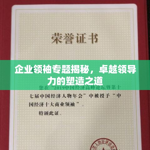 企业领袖专题揭秘，卓越领导力的塑造之道