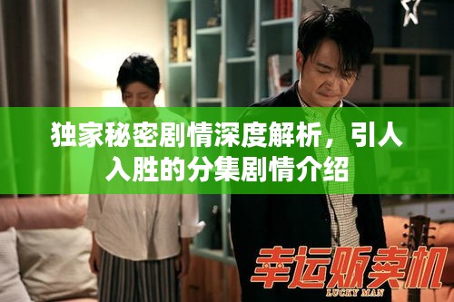独家秘密剧情深度解析，引人入胜的分集剧情介绍