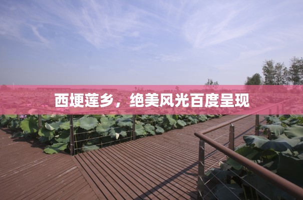 西埂莲乡，绝美风光百度呈现