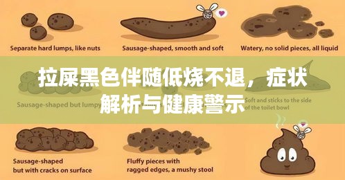 拉屎黑色伴随低烧不退，症状解析与健康警示