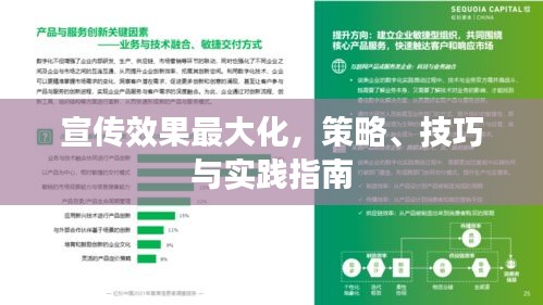 宣传效果最大化，策略、技巧与实践指南