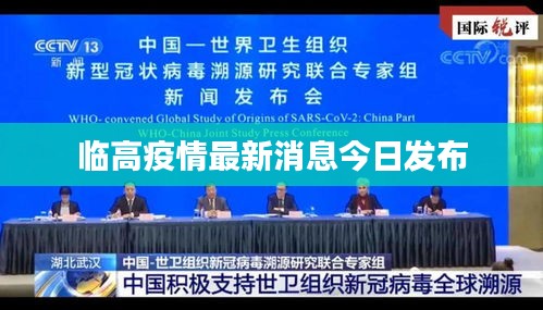 临高疫情最新消息今日发布