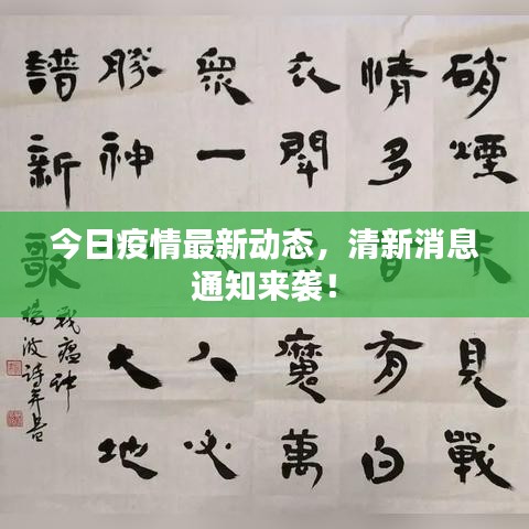 2025年5月8日