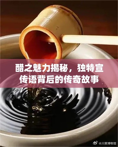 醋之魅力揭秘，独特宣传语背后的传奇故事