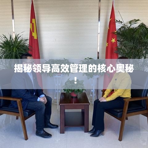 揭秘领导高效管理的核心奥秘！