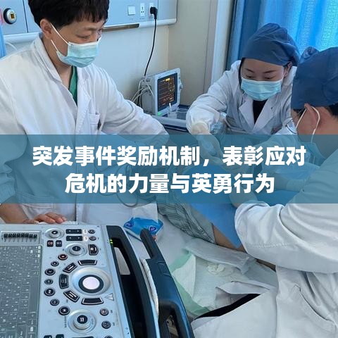 突发事件奖励机制，表彰应对危机的力量与英勇行为