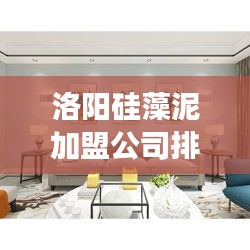 洛阳硅藻泥加盟公司排名及深度市场分析