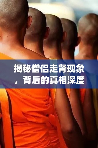 揭秘僧侣走肾现象，背后的真相深度解读（百度收录）