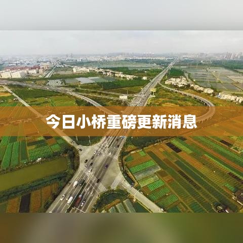 今日小桥重磅更新消息